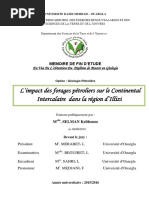 impact_des_forages_petroliers_sur_le_continental_intercalaire_dans_la_region_illizi