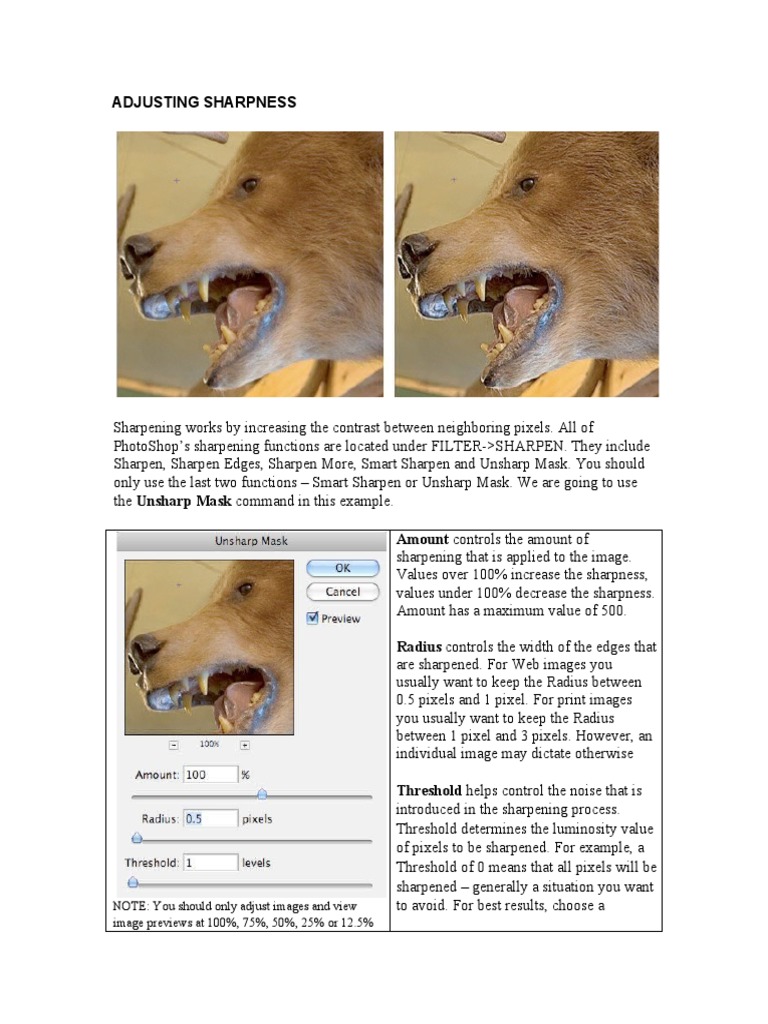 Adjusting Sharpness: Image Previews at 100%, 75%, 50%, 25% or 12.5% ...