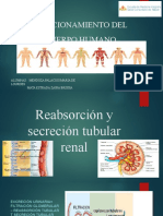 Reabsorción y Secreción Tubular Renal MODIFICADO 1