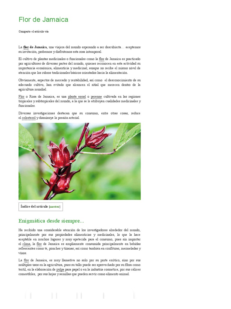 Flor de Jamaica - Cultivo, Características y Propiedades - Agrotendencia -  TV | PDF