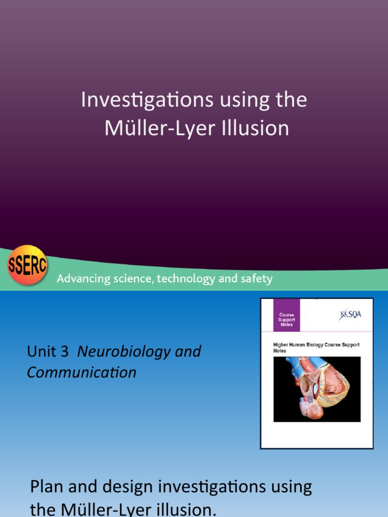 Investigations Using The Müller-Lyer Illusion | Download Free PDF ...