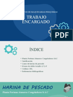 Trabajo Final