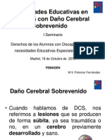 Necesidades Educativas en Las Personas Con Daño Cerebral Adquirido