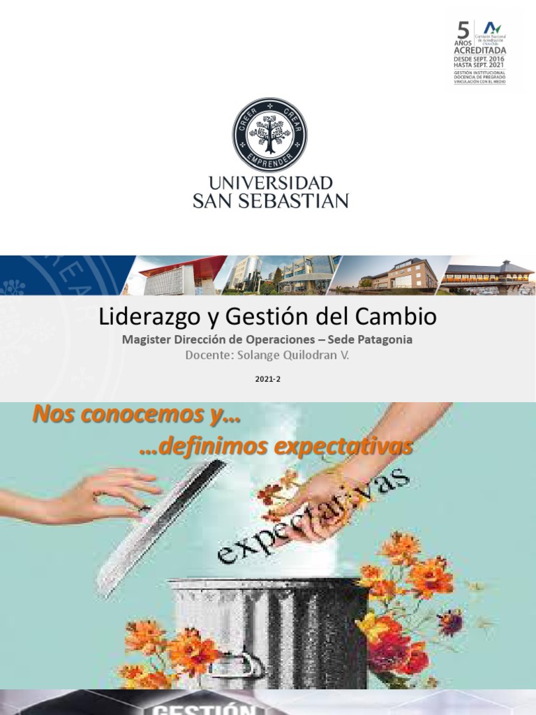 Liderazgo en Gestión del Cambio Organizacional | PDF | Aprendizaje ...