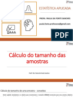 Aula 05 - Calculo Do Tamanho Amostra - LOG e SI