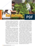 Rol Docente