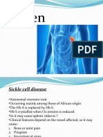 Spleen Lec.2