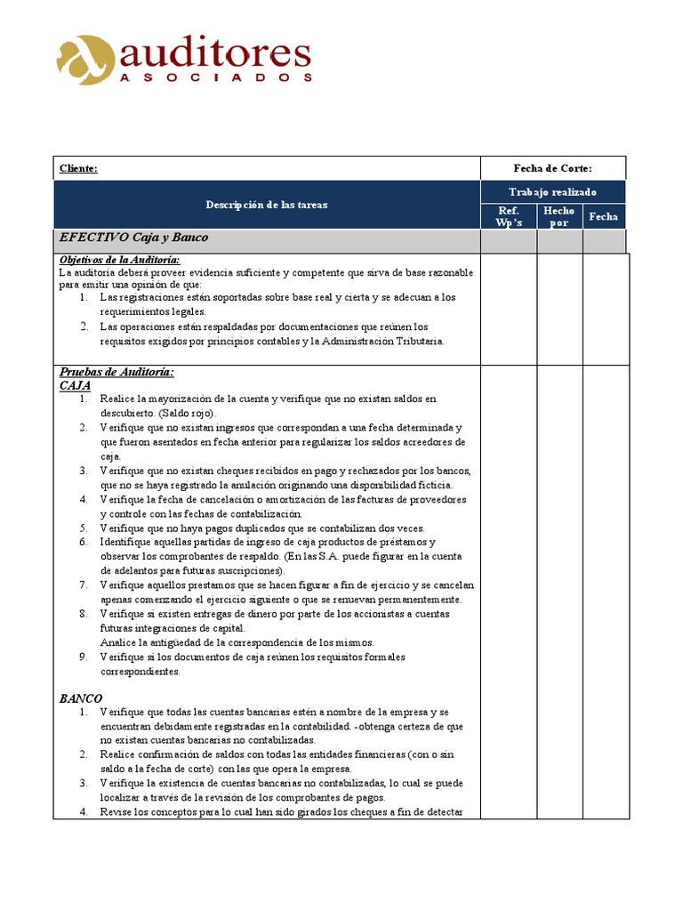 Simplemente desbordando Aislar Bienes EFECTIVO-Programa de Trabajo | PDF | Bancos | Contabilidad