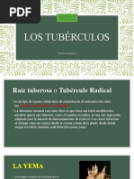 Tuberculos