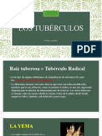 Tuberculos