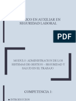 Modulo Administracion de Los Sistemas de Gestion - Seguridad y Salud en El Trabajo