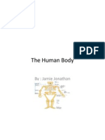 The Human Body Jonathan Jamie