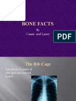 Bone Facts: by Camie and Laney