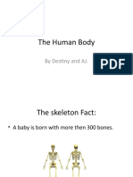 Human Body Destiny and Aj