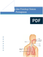 Anatomi - Sistem Pernafasan1