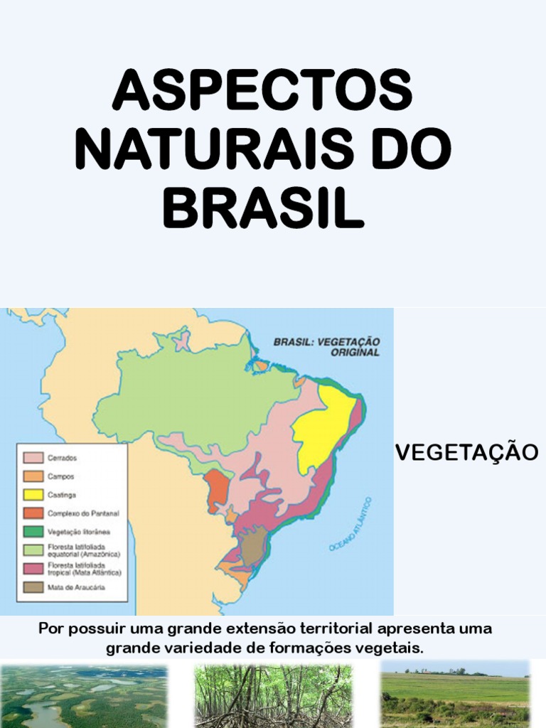 Aspectos Naturais Do Brasil 2021 | PDF | Florestas | Chuva