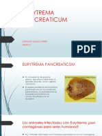 Eurytrema Pancreaticum