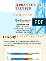 Chỉ thị phân tử SRAP