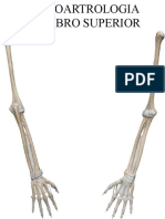 Osteoartrologia Miembro Superior-Comprimido