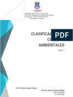 Clasificacion de Cuentas Ambientales2021-1