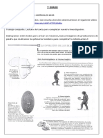 Evolución de Homínidos.