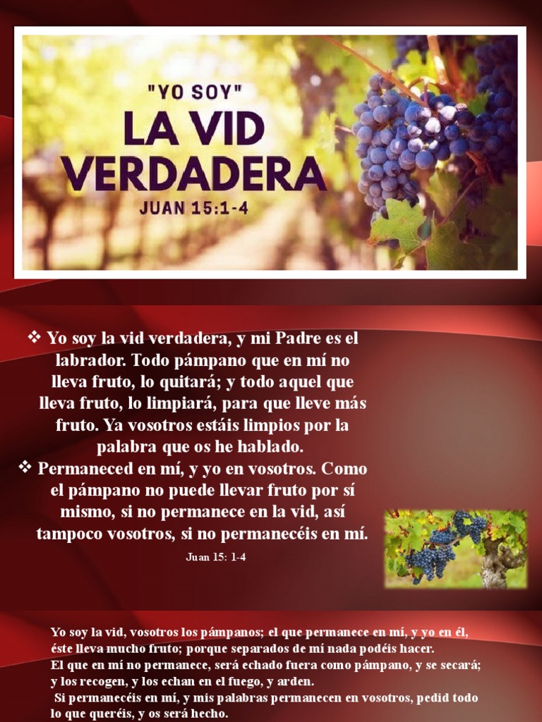 Yo Soy La Vid Verdadera | PDF | Cristo (título) | Vitis