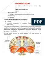 Histologia Respiratorio