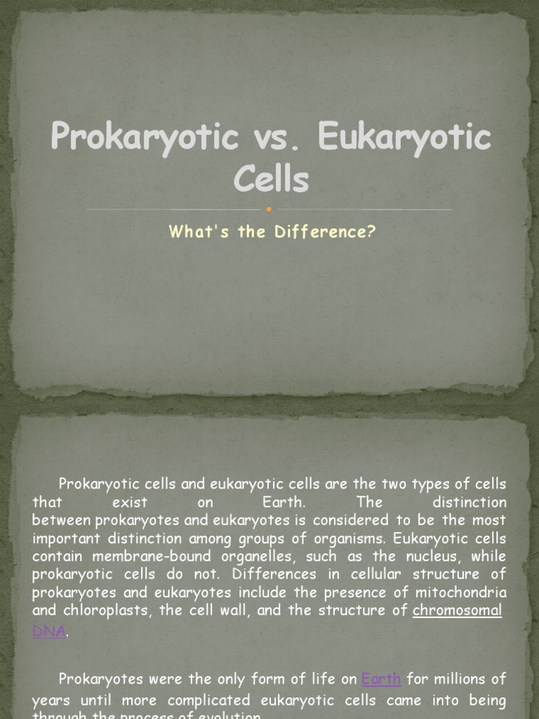 Prokaryotic and Eukaryotic | PDF | Cell (Biology) | Eukaryotes