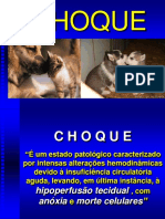 Choque Medicina Veterinária 