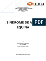 Sindrome Asma Equina (Antonio Tarraza Orellana)