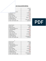 Evaluación rápida proyecto departamentos PIONEER