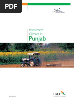 Download punjab by Vipin Kishore SN53261771 doc pdf