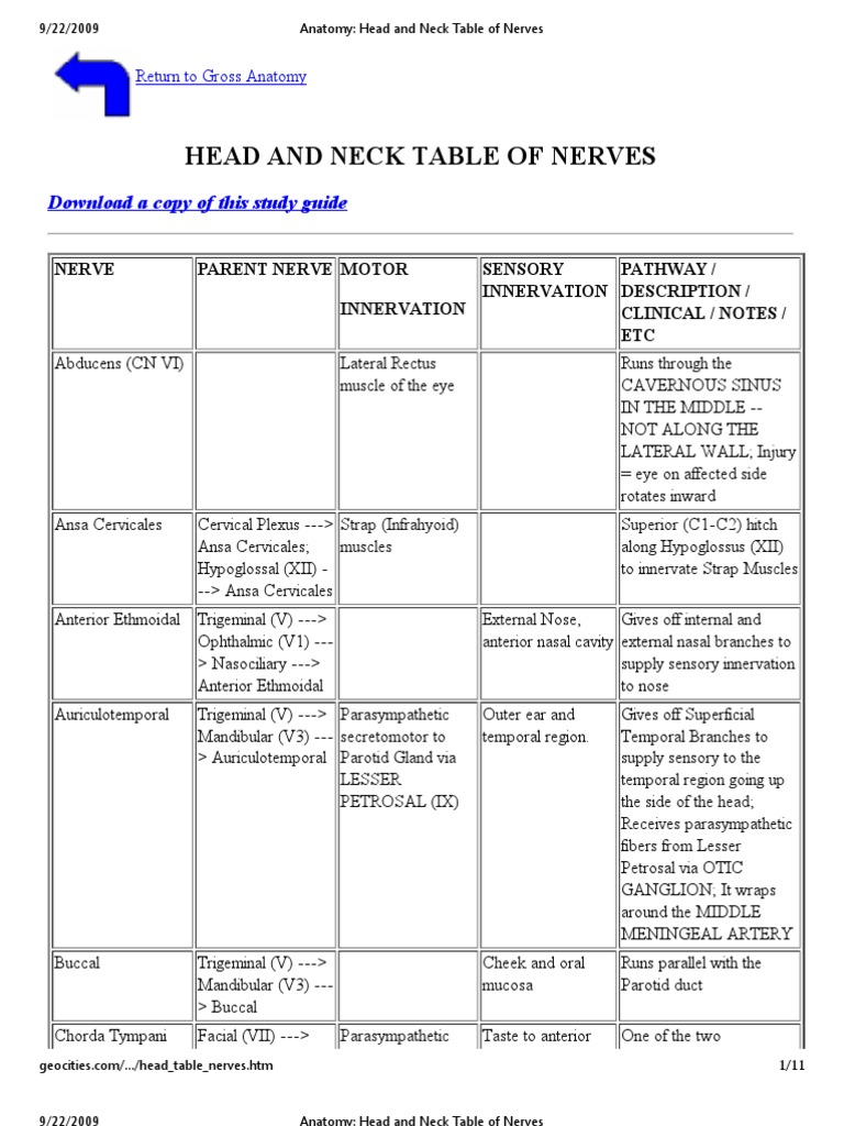 Anatomy - Head and Neck Table of Nerves | PDF | Human Nose | Human Anatomy
