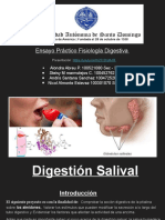 Fisiología Digestiva 