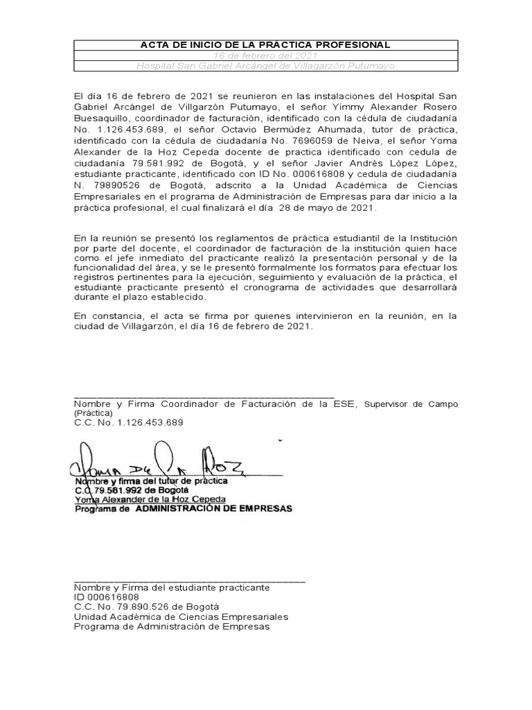 Acta de Inicio de Práctica Profesional | PDF | Negocios | Finanzas y dinero