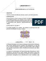 Informe N°6 Orgánica