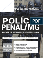 POLICIA PENAL MG