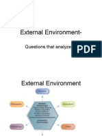 External Environment