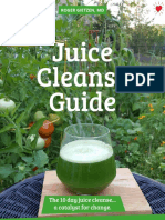 Juice Cleanse Guide