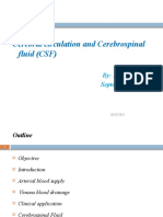 Cerebral Circulation and Cerebrospinal Fluid (CSF) : By: Biruk A September, 2021