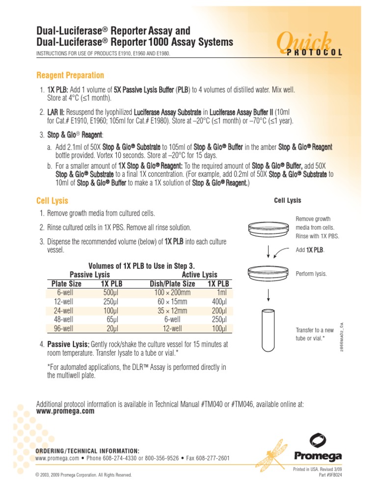 Quick: Dual-Luciferase Reporter Assay and Dual-Luciferase Reporter 1000 ...