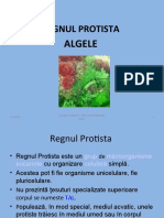 Regnulprotista Algele