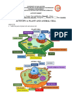 Plant and Animal Cell Structures Compared