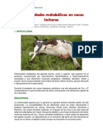 Enfermedades Metabólicas en Vacas Lecheras