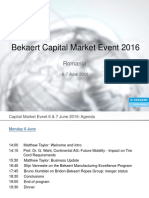 16 06 06-07 Capital Market Event Romania
