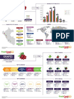 THE FINAL REPORT PERUVIAN GRAPES SEASON 2020-21