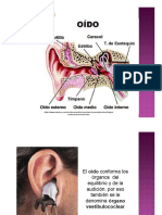 El Oído Generalidades