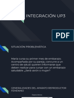 Integración Up3