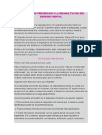 Los Niveles de Prevencion y La Rehabilitación Del Enfermo Mental