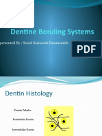 Dentine Bonding Systems: Presented By: Seyed Kianoosh Emamzadeh